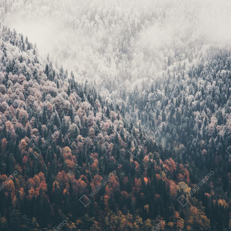 Naklejka na szafę jesienna mgła nad górskim lasem – Wallissimo® Naklejka na szafę jesienna mgła nad górskim lasem – Wallissimo®