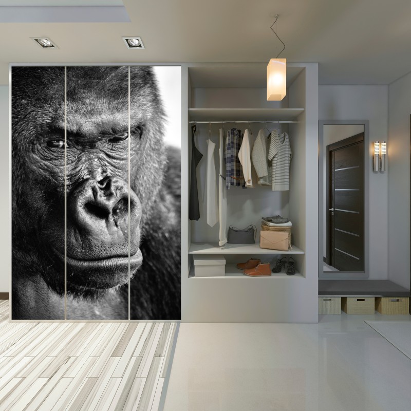 Naklejka na szafę intensywny portret goryla w czerni i bieli – Wallissimo® Naklejka na szafę intensywny portret goryla w czerni i bieli – Wallissimo®