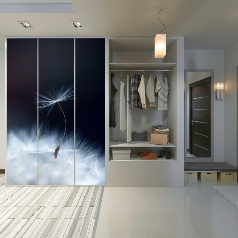 Naklejka na szafę delikatne zbliżenie nasiona dmuchawca – Wallissimo® Naklejka na szafę delikatne zbliżenie nasiona dmuchawca – Wallissimo®