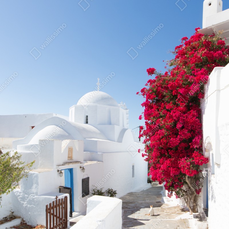 Naklejka na szafę słoneczna ulica wyspy z bujną bugenwillą – Wallissimo® Naklejka na szafę słoneczna ulica wyspy z bujną bugenwillą – Wallissimo®