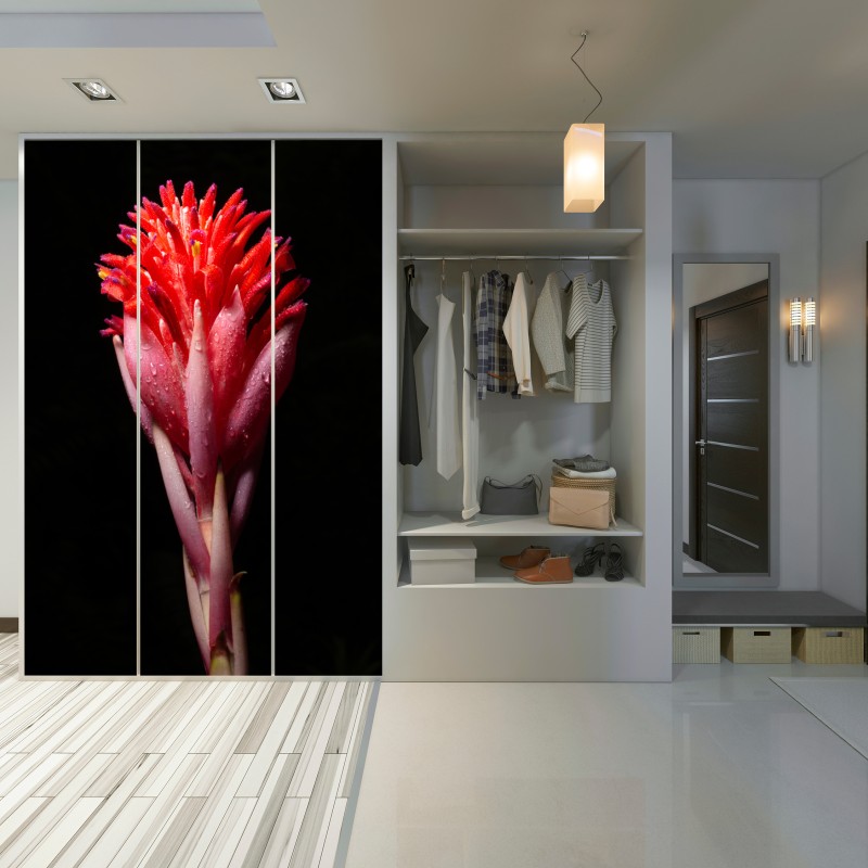 Naklejka na szafę intensywny różowy kwiat na czarnym tle – Wallissimo® Naklejka na szafę intensywny różowy kwiat na czarnym tle – Wallissimo®