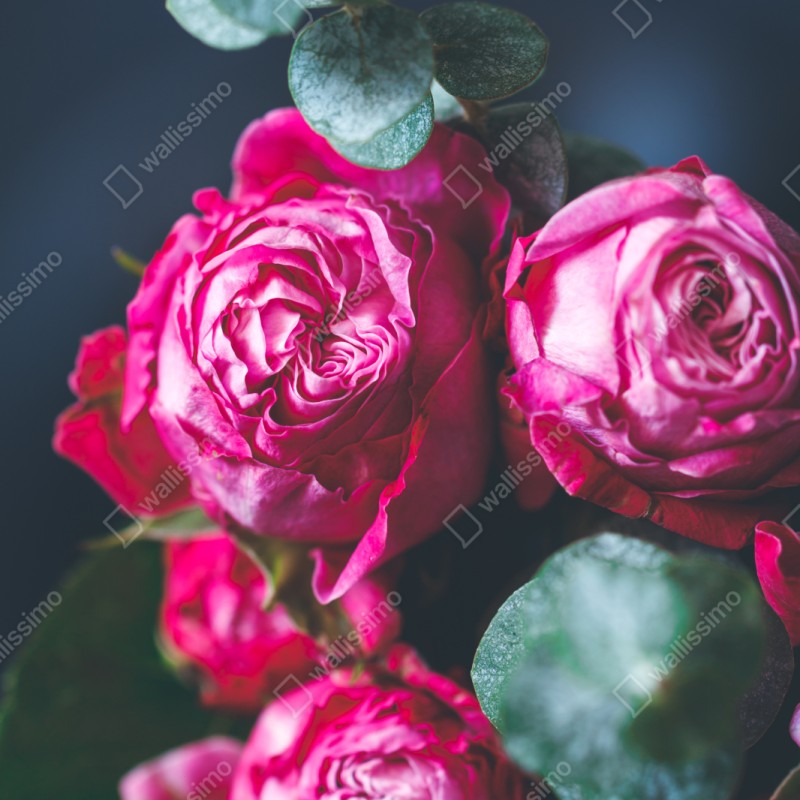 Naklejka na szafę różany bukiet makro – Wallissimo® Naklejka na szafę różany bukiet makro – Wallissimo®