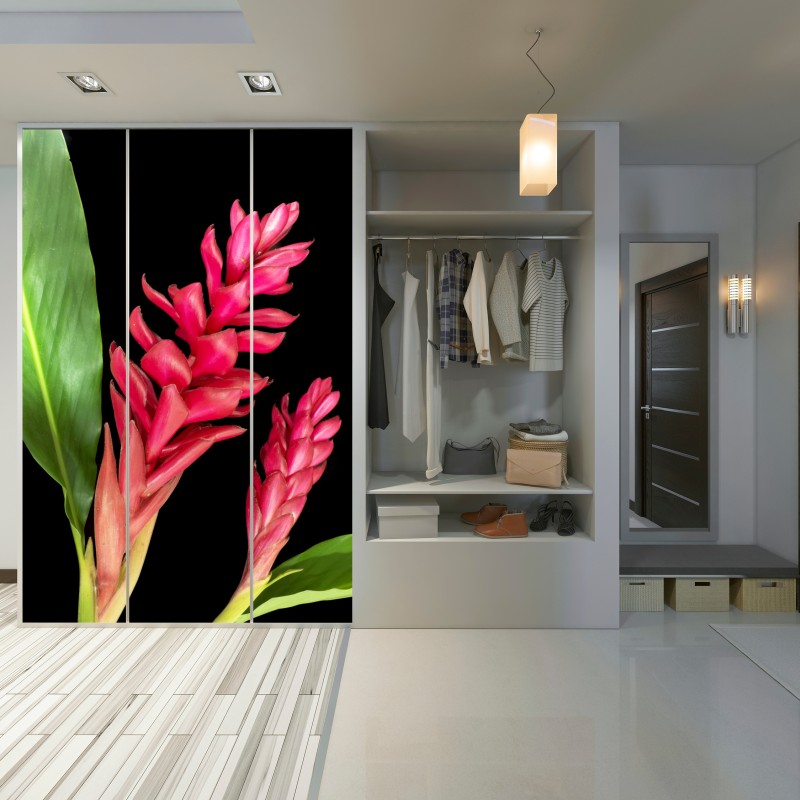 Naklejka na szafę żywy kwiat ognia na czarnym tle – Wallissimo® Naklejka na szafę żywy kwiat ognia na czarnym tle – Wallissimo®