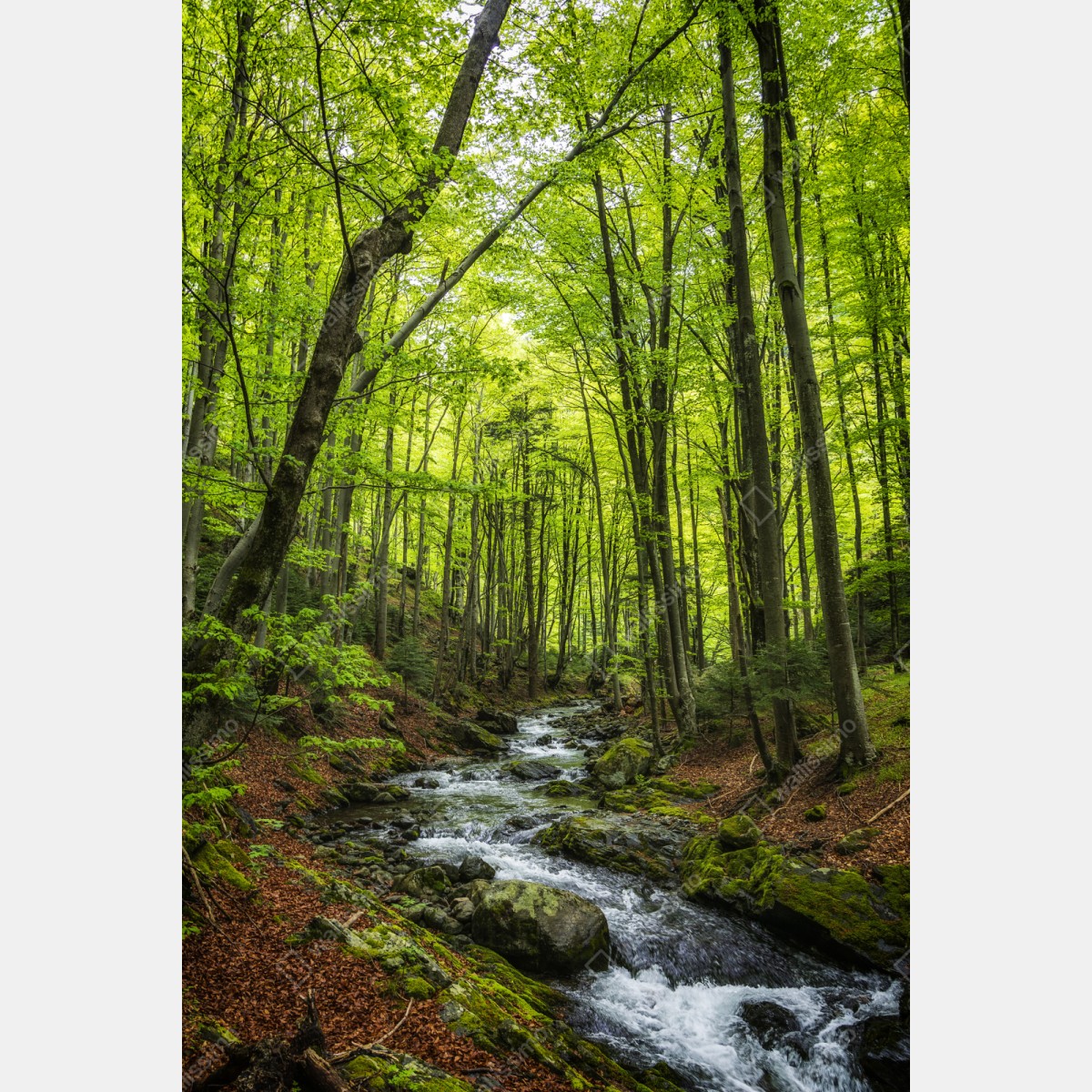 Naklejka na szafę spokojny leśny strumień – Wallissimo® Naklejka na szafę spokojny leśny strumień – Wallissimo®