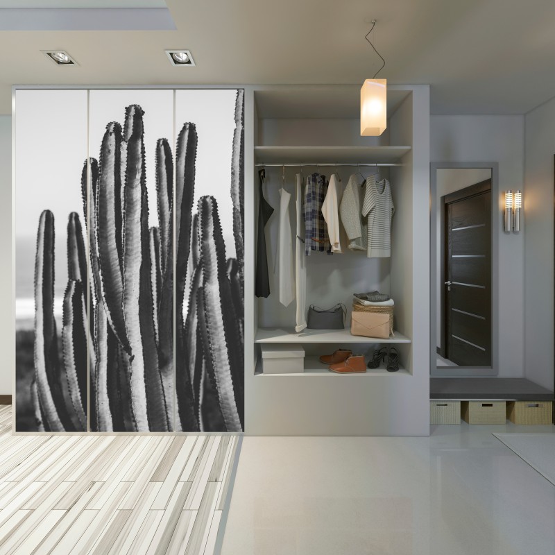 Naklejka na szafę czarno-biały kaktus w zbliżeniu – Wallissimo® Naklejka na szafę czarno-biały kaktus w zbliżeniu – Wallissimo®