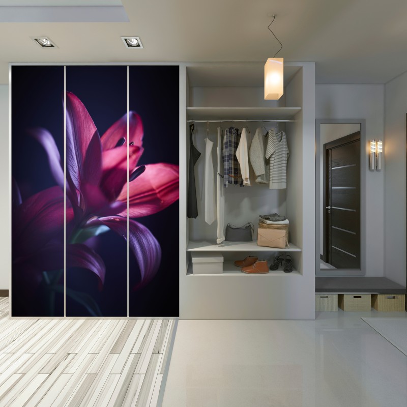 Naklejka na szafę czerwona lilia w półmroku – Wallissimo® Naklejka na szafę czerwona lilia w półmroku – Wallissimo®