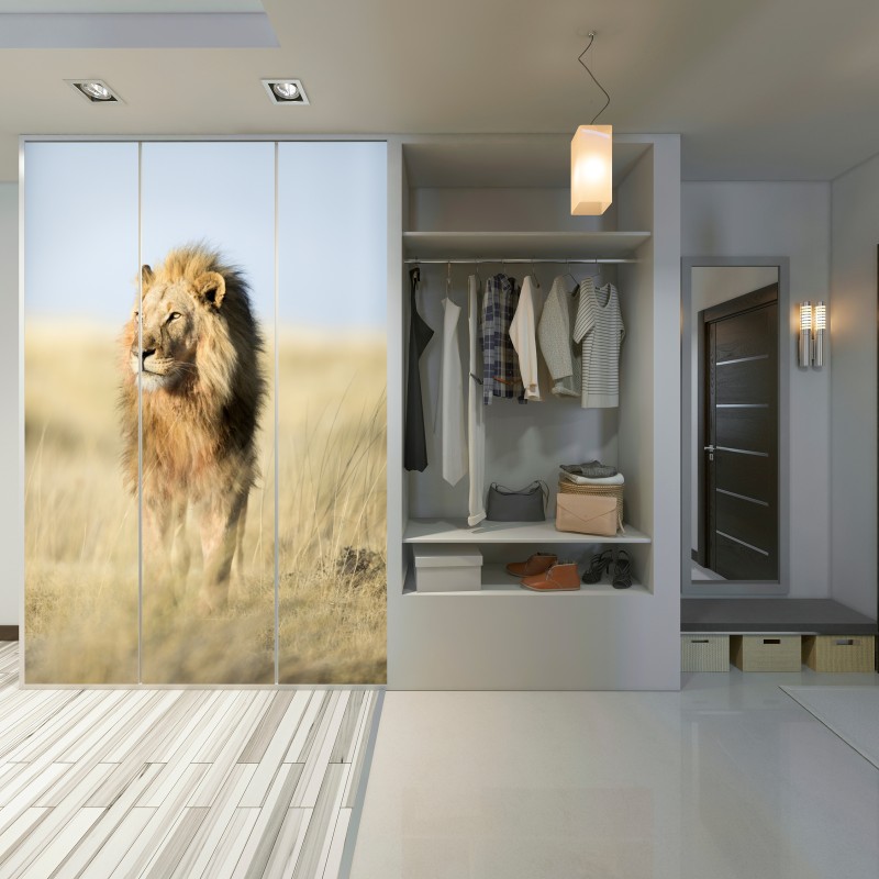 Naklejka na szafę majestatyczny lew na sawannie – Wallissimo® Naklejka na szafę majestatyczny lew na sawannie – Wallissimo®