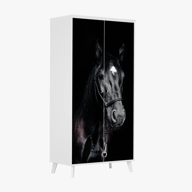 Naklejka na szafę delikatny dmuchawiec na ciemnym tle – Wallissimo®