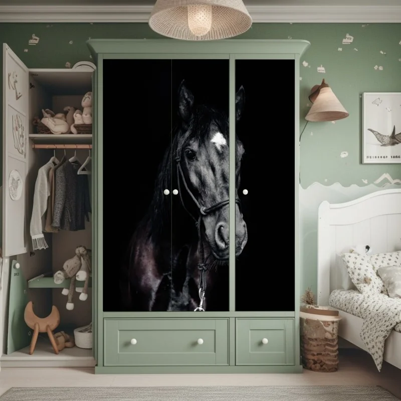 Naklejka na szafę delikatny dmuchawiec na ciemnym tle – Wallissimo®