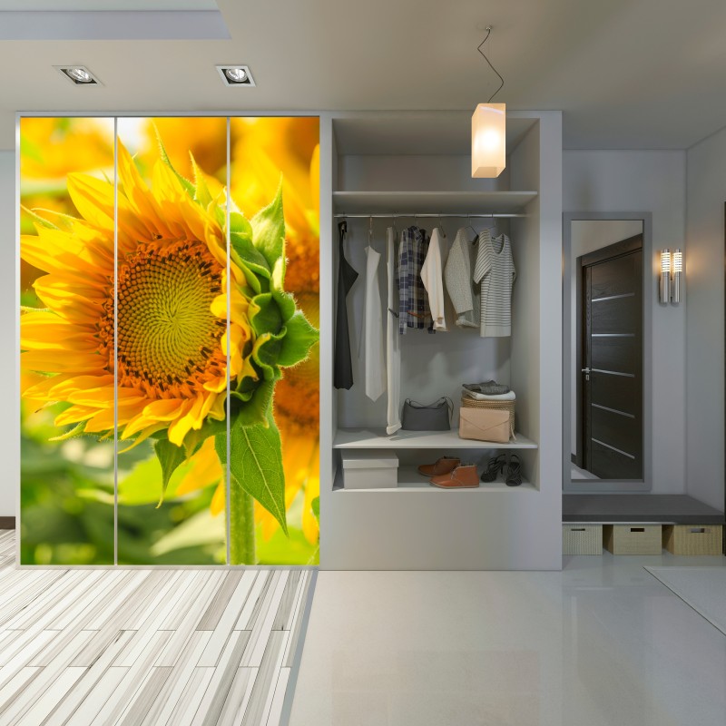 Naklejka na szafę zbliżenie słonecznika – Wallissimo® Naklejka na szafę zbliżenie słonecznika – Wallissimo®