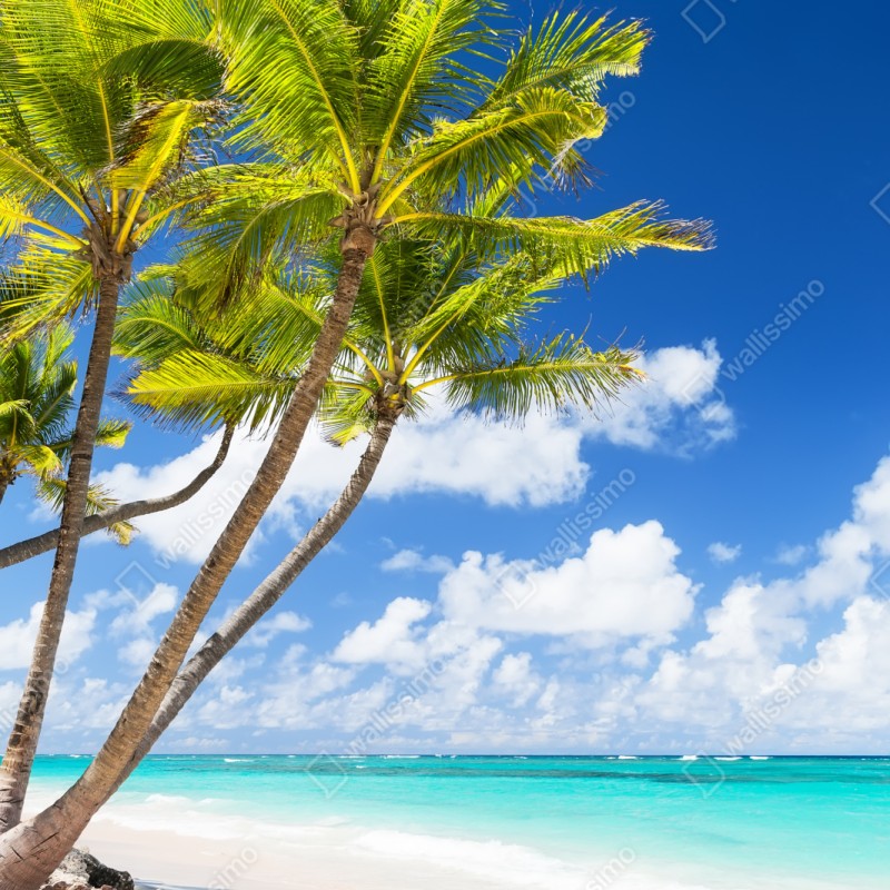 Naklejka na szafę tropikalna plaża z palmami w Punta Cana – Wallissimo® Naklejka na szafę tropikalna plaża z palmami w Punta Cana – Wallissimo®