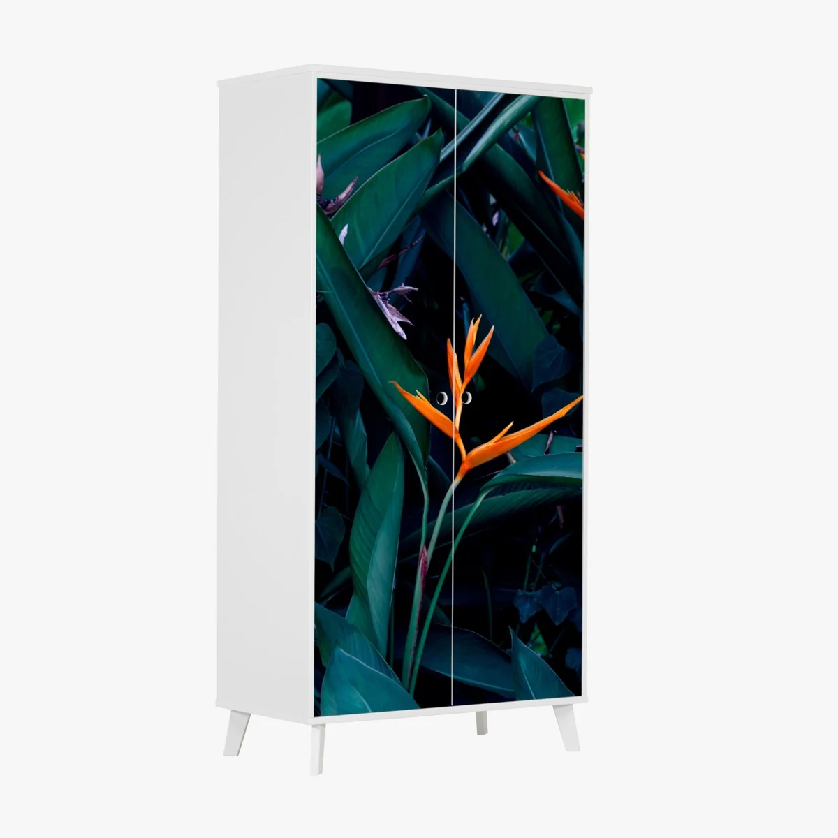 Naklejka na szafę żywa strelicja na tle ciemnozielonych liści – Wallissimo® Naklejka na szafę żywa strelicja na tle ciemnozielonych liści – Wallissimo®