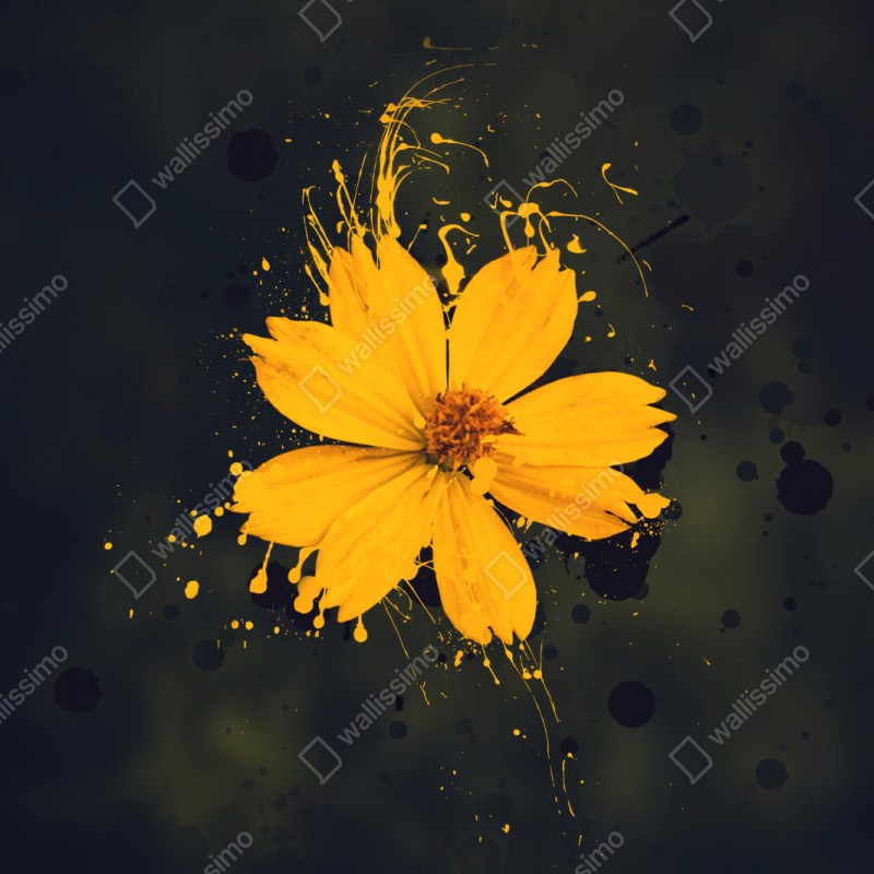 Naklejka na szafę intensywny żółty kwiat na ciemnym tle – Wallissimo® Naklejka na szafę intensywny żółty kwiat na ciemnym tle – Wallissimo®