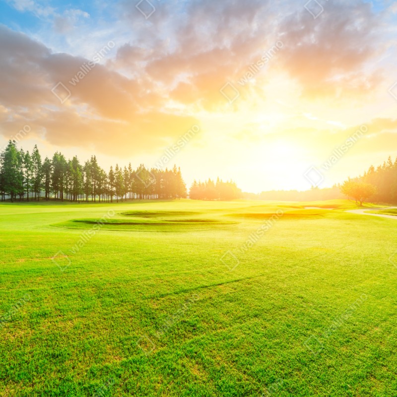 Naklejka na szafę słoneczna łąka i las o wschodzie słońca – Wallissimo® Naklejka na szafę słoneczna łąka i las o wschodzie słońca – Wallissimo®