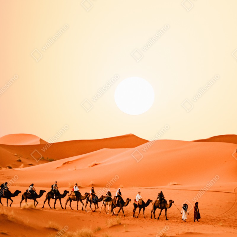 Naklejka na szafę karawana wielbłądów o zachodzie słońca na pustyni – Wallissimo® Naklejka na szafę karawana wielbłądów o zachodzie słońca na pustyni – Wallissimo®