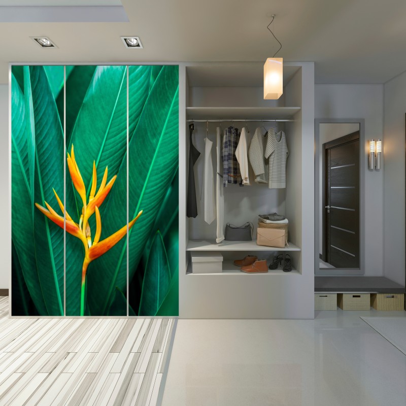 Naklejka na szafę intensywny tropikalny ptak rajski na zielonych liściach – Wallissimo® Naklejka na szafę intensywny tropikalny ptak rajski na zielonych liściach – Wallissimo®