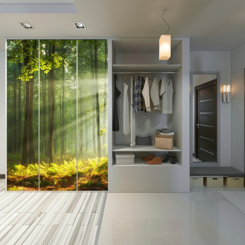 Naklejka na szafę poranne światło w lesie – Wallissimo® Naklejka na szafę poranne światło w lesie – Wallissimo®