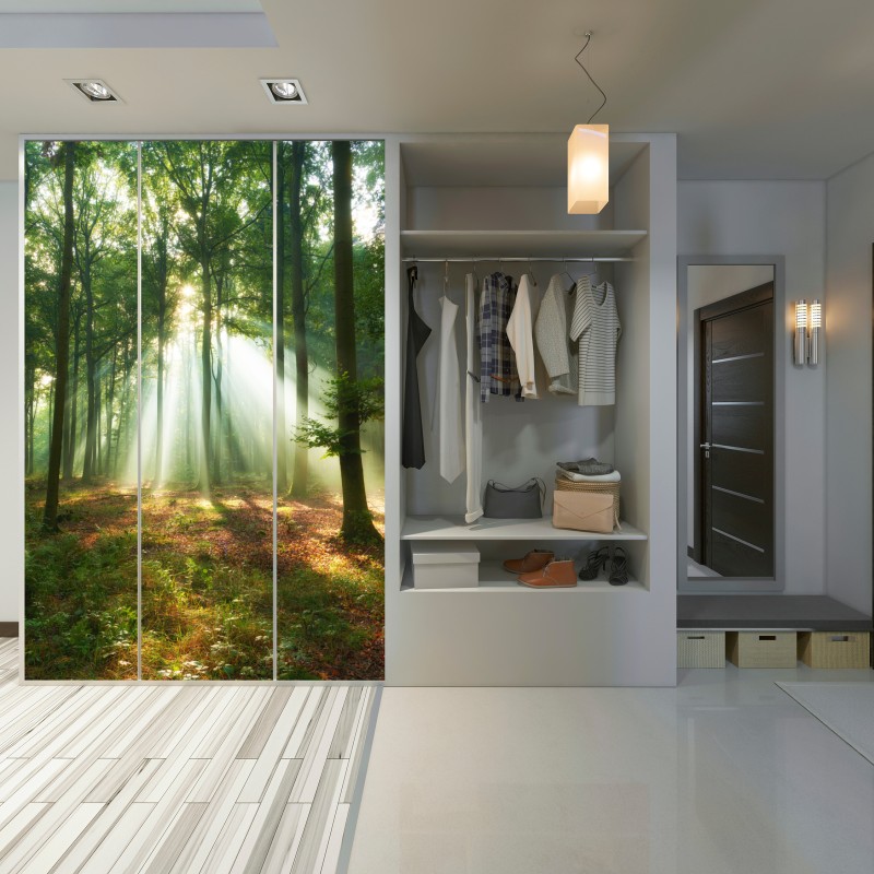 Naklejka na szafę poranne światło w lesie – Wallissimo® Naklejka na szafę poranne światło w lesie – Wallissimo®