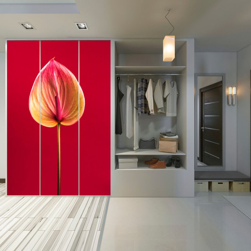 Naklejka na szafę eleganckie anturium na czerwonym tle – Wallissimo® Naklejka na szafę eleganckie anturium na czerwonym tle – Wallissimo®