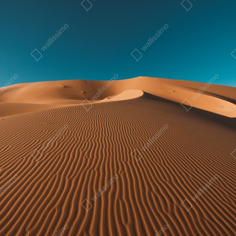 Naklejka na szafę złote wydmy pod głębokim niebem – Wallissimo® Naklejka na szafę złote wydmy pod głębokim niebem – Wallissimo®