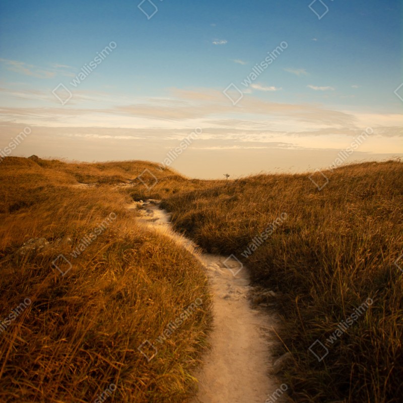 Naklejka na szafę słoneczna ścieżka przez wydmy – Wallissimo® Naklejka na szafę słoneczna ścieżka przez wydmy – Wallissimo®