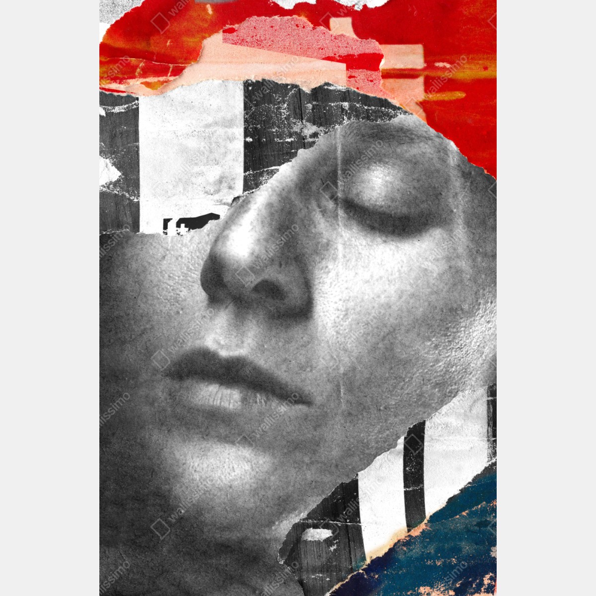 Naklejka na szafę rozdarty portret kolaż – Wallissimo® Naklejka na szafę rozdarty portret kolaż – Wallissimo®