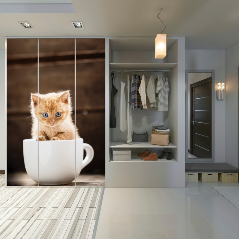 Naklejka na szafę rudy kociak w filiżance – Wallissimo® Naklejka na szafę rudy kociak w filiżance – Wallissimo®