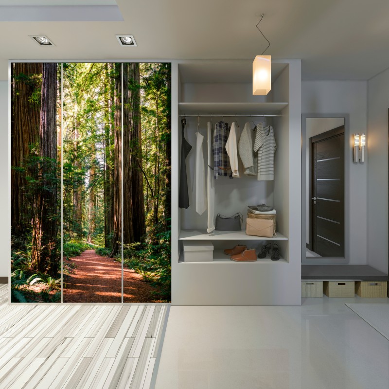 Naklejka na szafę majestatyczna ścieżka w lesie sekwoi – Wallissimo® Naklejka na szafę majestatyczna ścieżka w lesie sekwoi – Wallissimo®