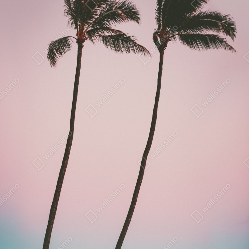 Naklejka na szafę pastelowe palmy o zmierzchu – Wallissimo® Naklejka na szafę pastelowe palmy o zmierzchu – Wallissimo®