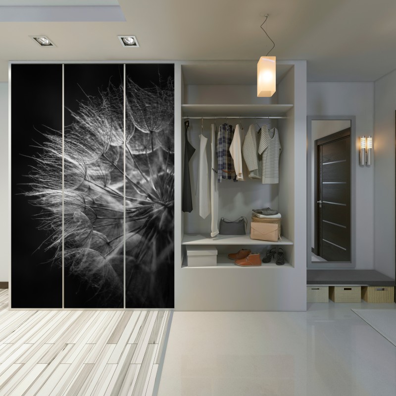 Naklejka na szafę delikatny puch dmuchawca w monochromie – Wallissimo® Naklejka na szafę delikatny puch dmuchawca w monochromie – Wallissimo®