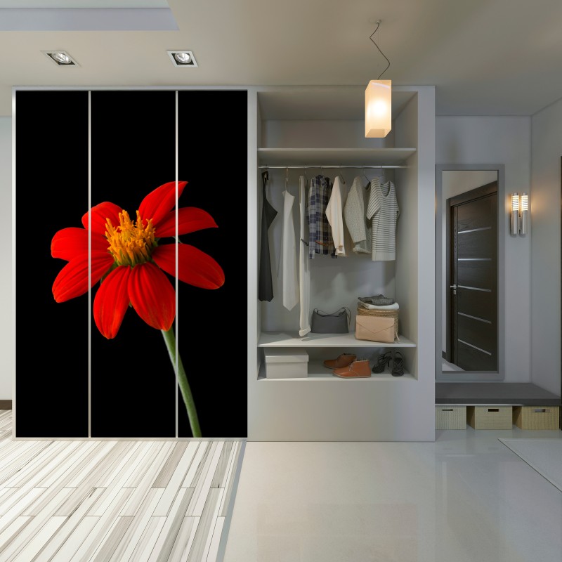 Naklejka na szafę żywy słonecznik meksykański na czarnym tle – Wallissimo® Naklejka na szafę żywy słonecznik meksykański na czarnym tle – Wallissimo®