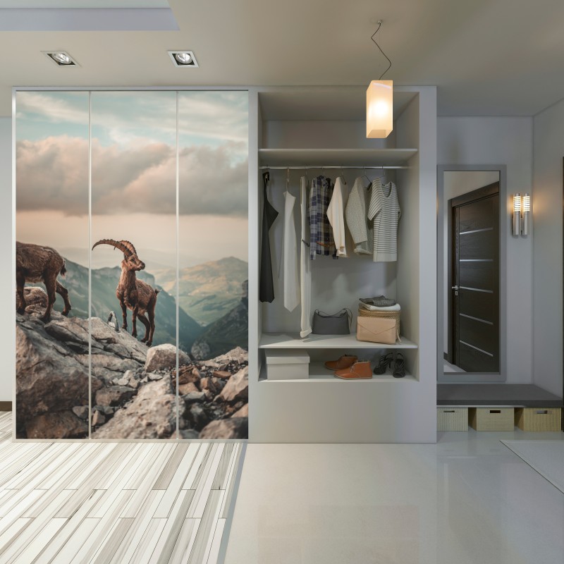 Naklejka na szafę kozica alpejska na skalistym grzbiecie – Wallissimo® Naklejka na szafę kozica alpejska na skalistym grzbiecie – Wallissimo®