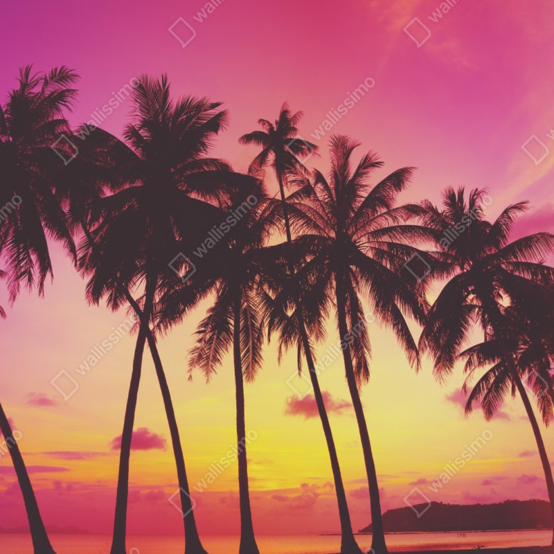 Naklejka na szafę tropikalny zachód słońca z palmami, Tajlandia – Wallissimo® Naklejka na szafę tropikalny zachód słońca z palmami, Tajlandia – Wallissimo®