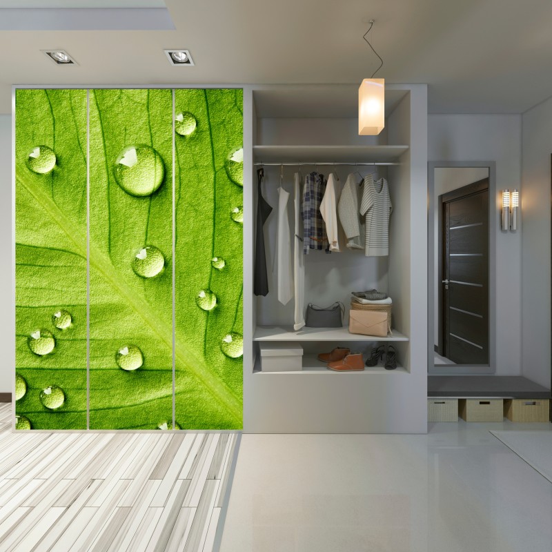 Naklejka na szafę świeży zielony liść z kroplami wody – Wallissimo® Naklejka na szafę świeży zielony liść z kroplami wody – Wallissimo®