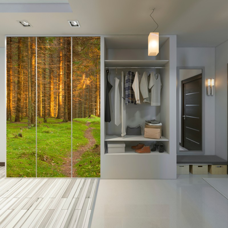 Naklejka na szafę złote światło lesie sosnowym porośniętym mchem – Wallissimo® Naklejka na szafę złote światło lesie sosnowym porośniętym mchem – Wallissimo®