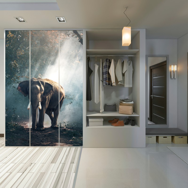 Naklejka na szafę majestatyczny słoń w oświetlonym lesie – Wallissimo® Naklejka na szafę majestatyczny słoń w oświetlonym lesie – Wallissimo®