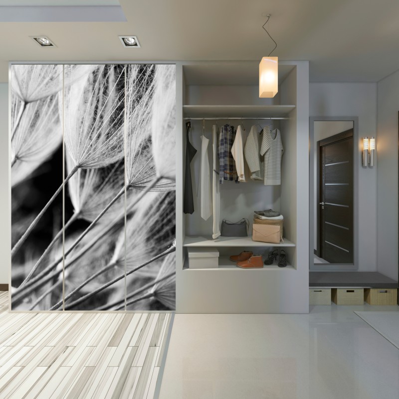 Naklejka na szafę delikatne zbliżenie nasion dmuchawca czarno-białe – Wallissimo® Naklejka na szafę delikatne zbliżenie nasion dmuchawca czarno-białe – Wallissimo®