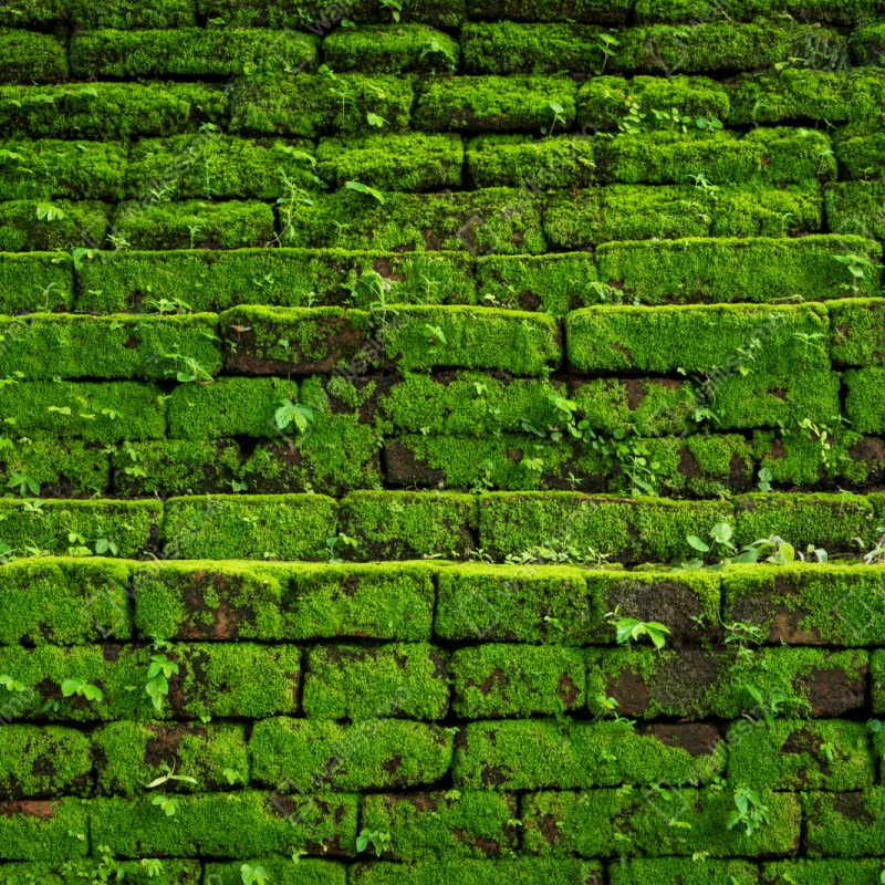 Naklejka na szafę ściana z mchem na ceglanej strukturze – Wallissimo® Naklejka na szafę ściana z mchem na ceglanej strukturze – Wallissimo®