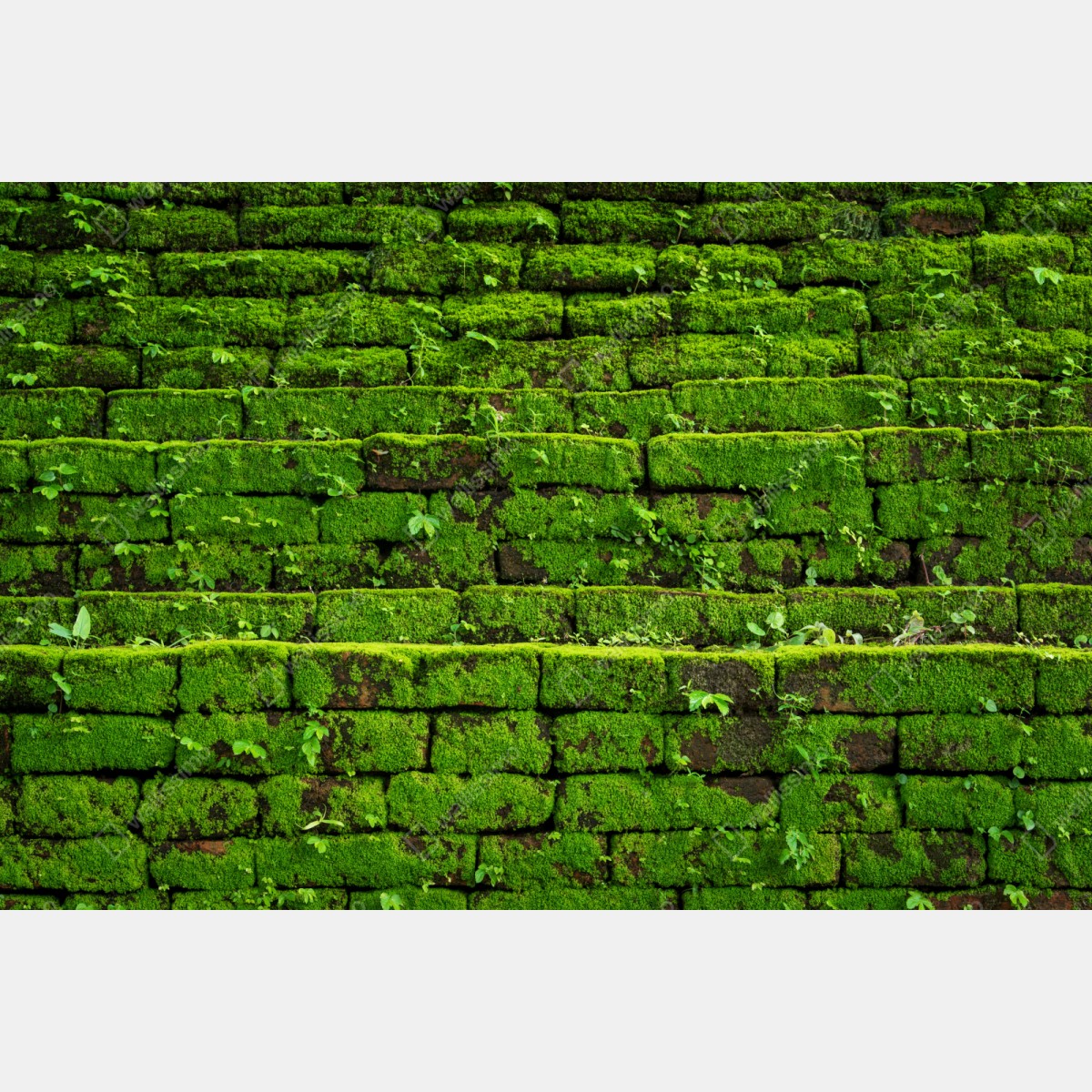 Naklejka na szafę ściana z mchem na ceglanej strukturze – Wallissimo® Naklejka na szafę ściana z mchem na ceglanej strukturze – Wallissimo®