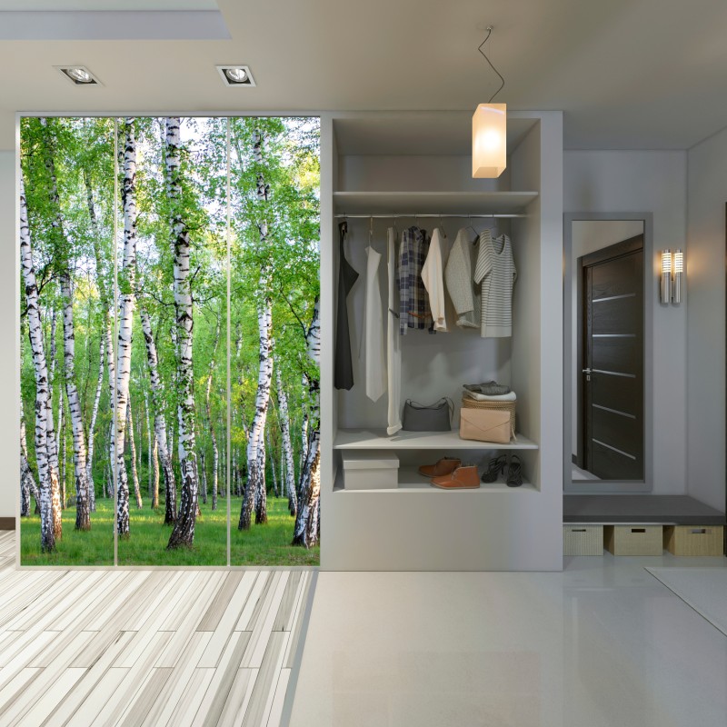 Naklejka na szafę spokojny brzozowy gaj latem – Wallissimo® Naklejka na szafę spokojny brzozowy gaj latem – Wallissimo®