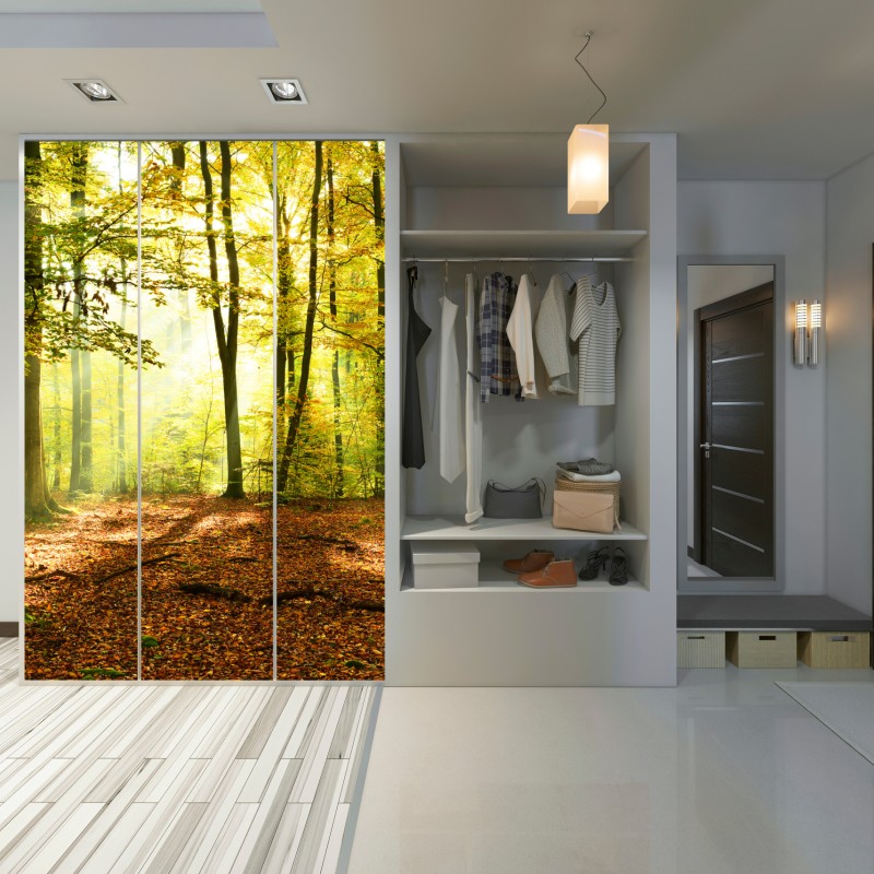 Naklejka na szafę złoty jesienny las o poranku – Wallissimo® Naklejka na szafę złoty jesienny las o poranku – Wallissimo®
