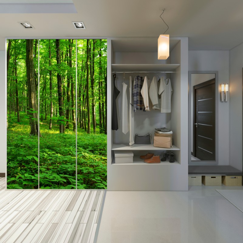 Naklejka na szafę słoneczny zielony las wiosną – Wallissimo® Naklejka na szafę słoneczny zielony las wiosną – Wallissimo®