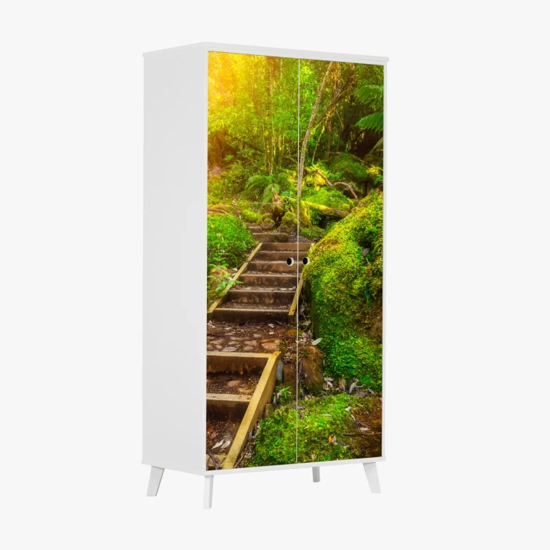 Naklejka na szafę ścieżka w lesie deszczowym na Półwyspie Tasmańskim