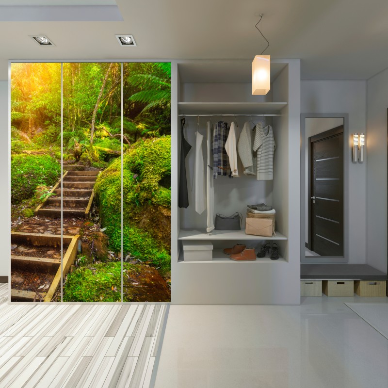 Naklejka na szafę ścieżka w lesie deszczowym na Półwyspie Tasmańskim – Wallissimo® Naklejka na szafę ścieżka w lesie deszczowym na Półwyspie Tasmańskim – Wallissimo®