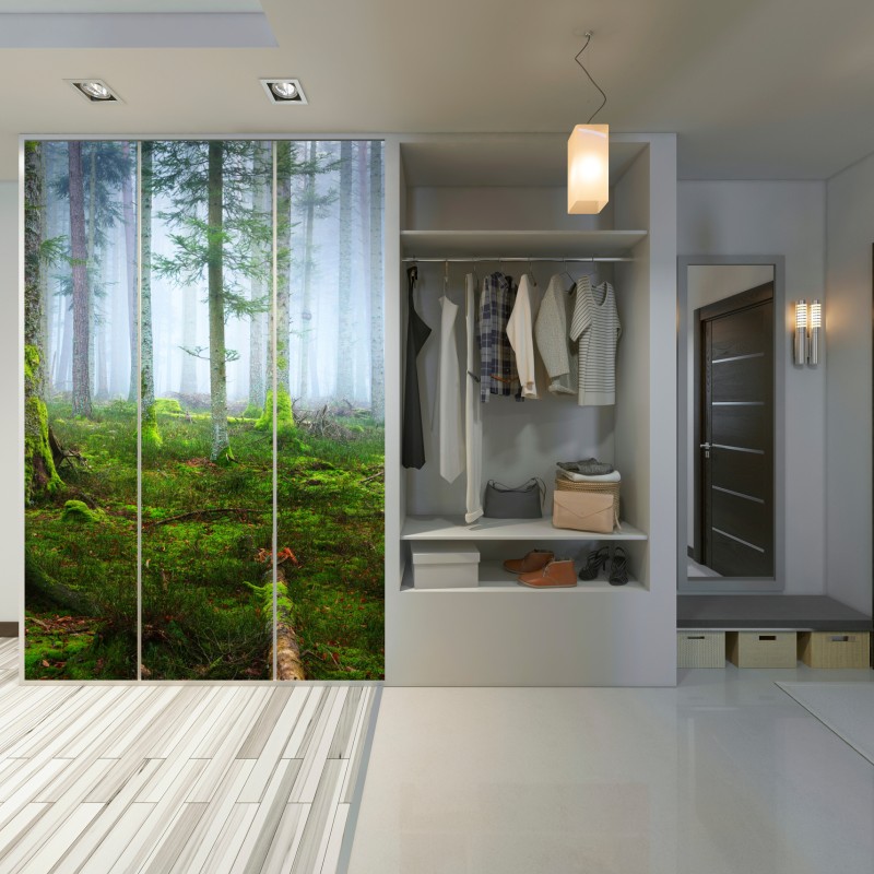 Naklejka na szafę mglisty las sosnowy z Alzacji – Wallissimo® Naklejka na szafę mglisty las sosnowy z Alzacji – Wallissimo®