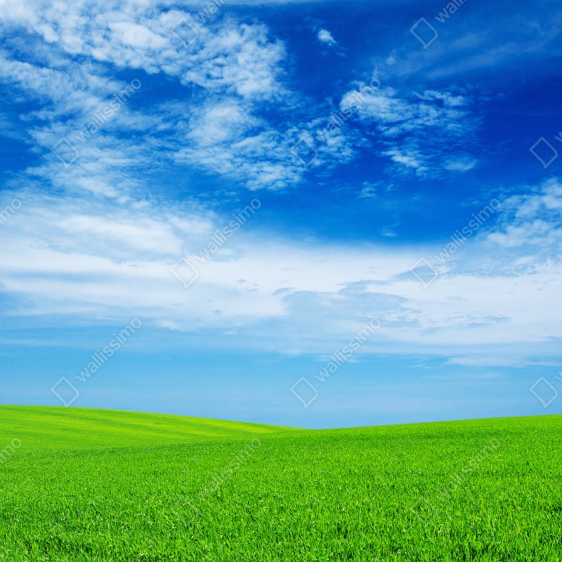 Naklejka na szafę zielona łąka pod błękitnym niebem – Wallissimo® Naklejka na szafę zielona łąka pod błękitnym niebem – Wallissimo®