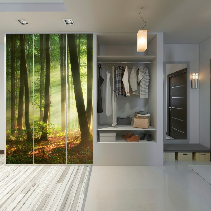 Naklejka na szafę poranny las skąpany w słońcu – Wallissimo® Naklejka na szafę poranny las skąpany w słońcu – Wallissimo®