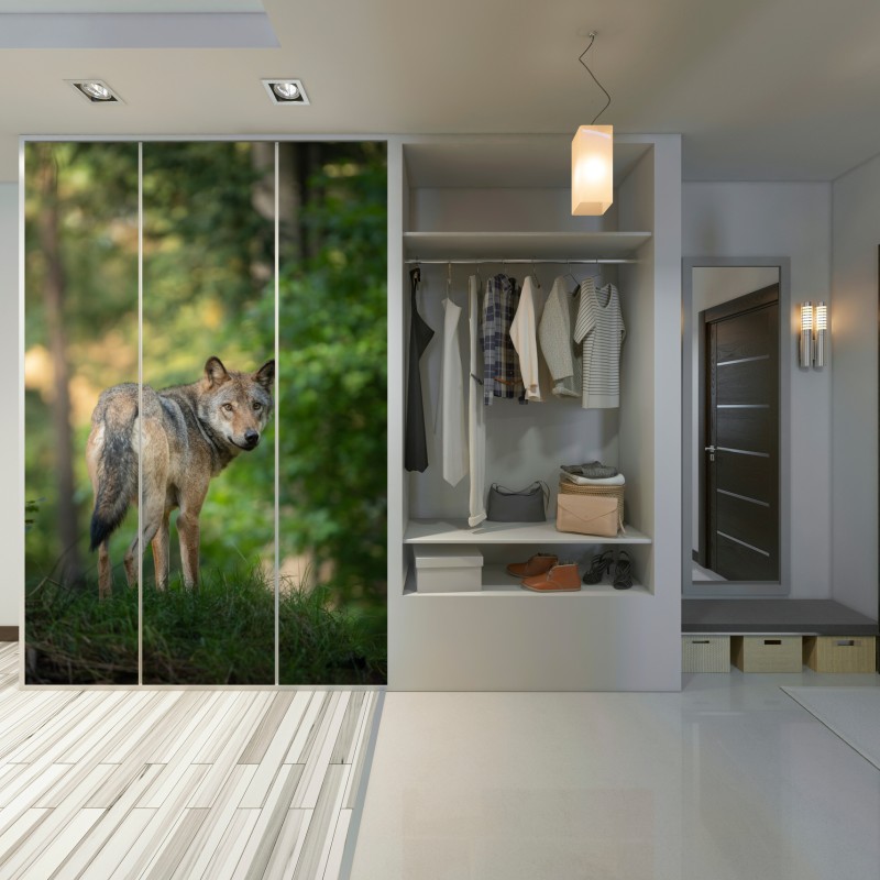 Naklejka na szafę wilk w leśnej polanie – Wallissimo® Naklejka na szafę wilk w leśnej polanie – Wallissimo®
