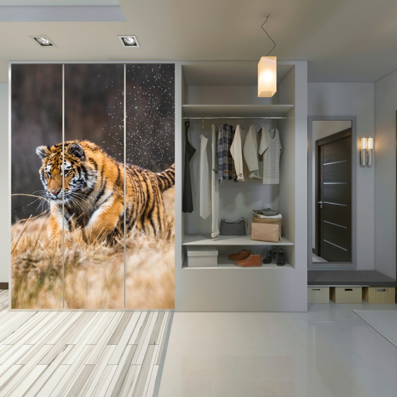 Naklejka na szafę tygrys Syberyjski w biegu – Wallissimo® Naklejka na szafę tygrys Syberyjski w biegu – Wallissimo®