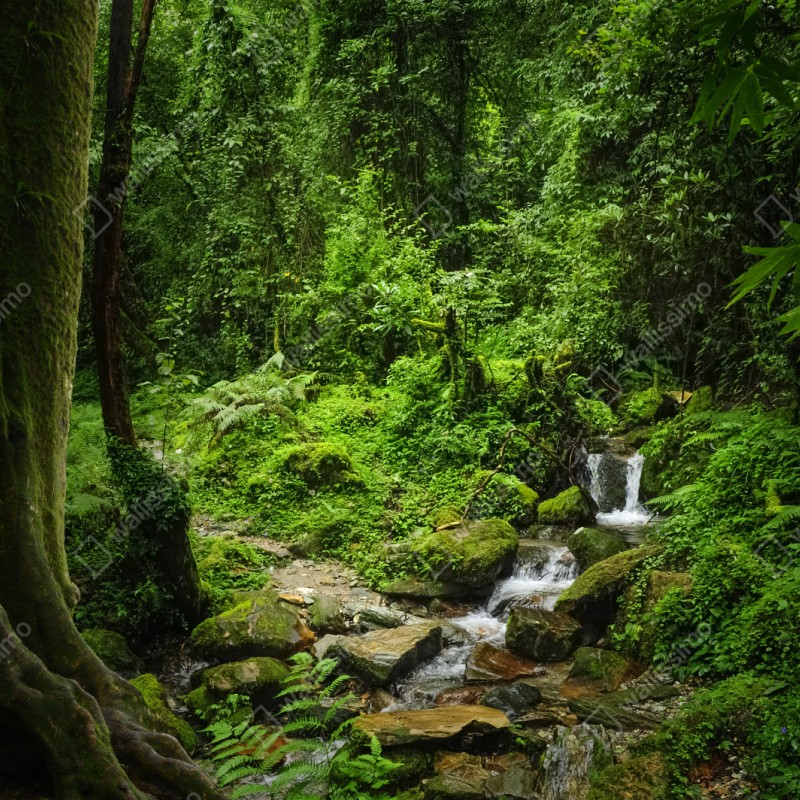 Naklejka na szafę bujny zielony leśny wodospad – Wallissimo® Naklejka na szafę bujny zielony leśny wodospad – Wallissimo®